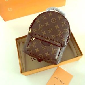 Louis Vuitton Palm Springs Backpack Mini